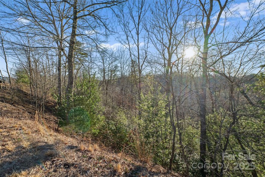 MOTIVATED SELLER SAYS BRING ALL OFFERS! Wooded 4.37acre lot in the Patterson/Happy Valley area, conveniently situated less than 10mi from Blowing Rock & 15mi from Lenoir. Timber Rock is a gated subdivision & offers access to the Yadkin River & a beautiful stone pavilion with a large outdoor fireplace for community use. Underground utilities available. Lot is steep in several places, especially at the top, but levels out to more sloping terrain in some sections. Will require some grading to build. There is an old logging road that cuts through the property, as well as several large, beautiful boulders and a small stream toward the bottom of the lot. Potential for long range Mountain views. Minimum sq footage is only 1200sq ft, short term rentals are allowed, & owners may camp on their property for up to 7 days out of every 30. Lot #530 offers a blend of quietude & easy access to nearby towns at a very affordable price point.