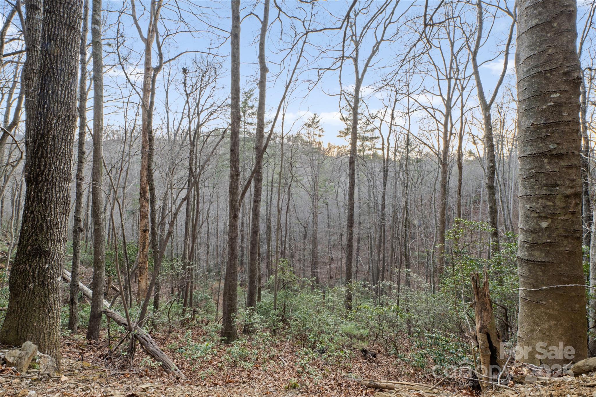 Lot 530 Roca Vista Drive 530