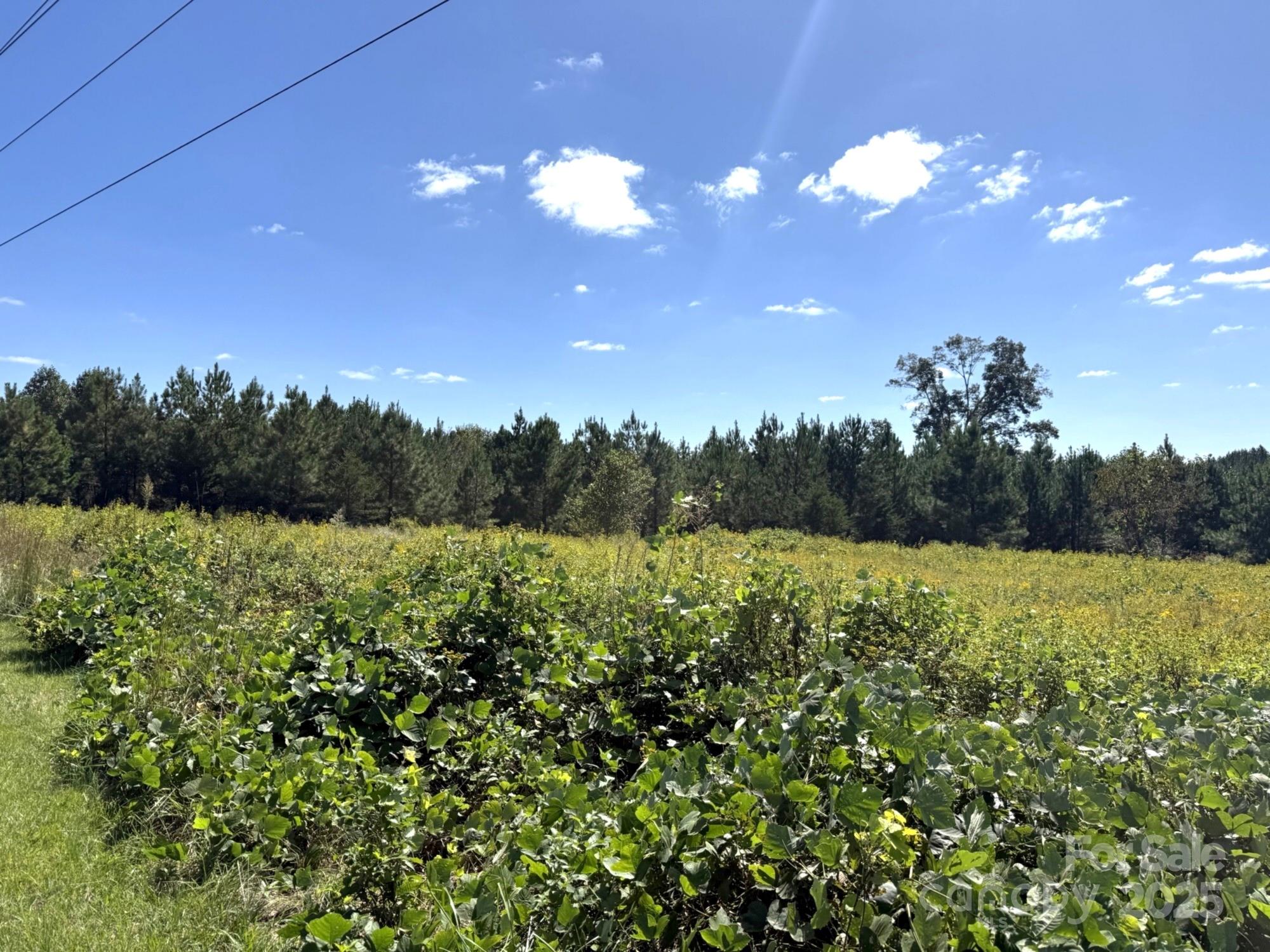 1178 Pea Ridge Road