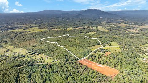 1178 Pea Ridge Road Mill Spring NC 28756