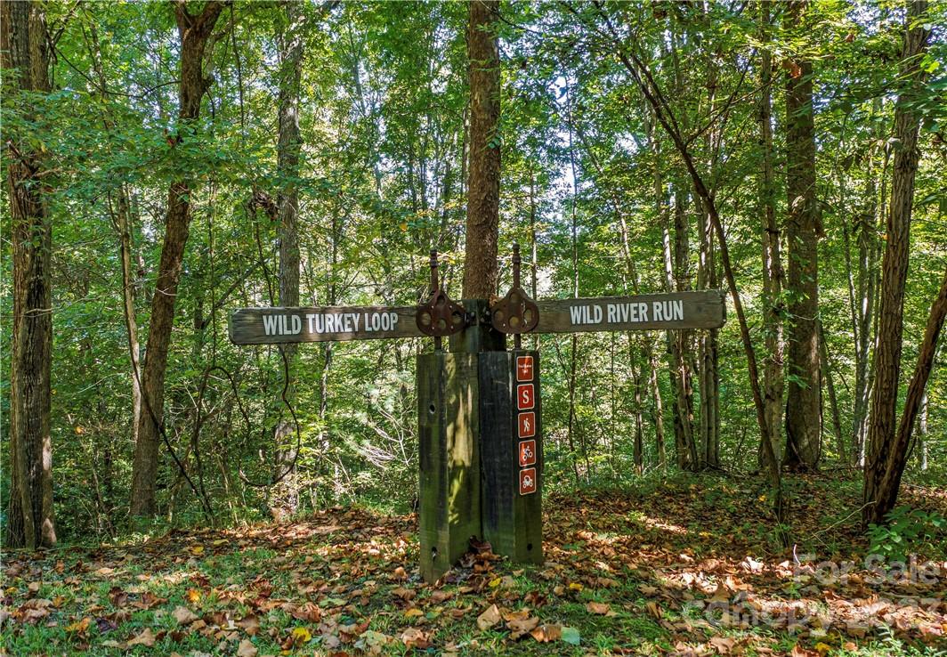 51 Wild Turkey Loop 32