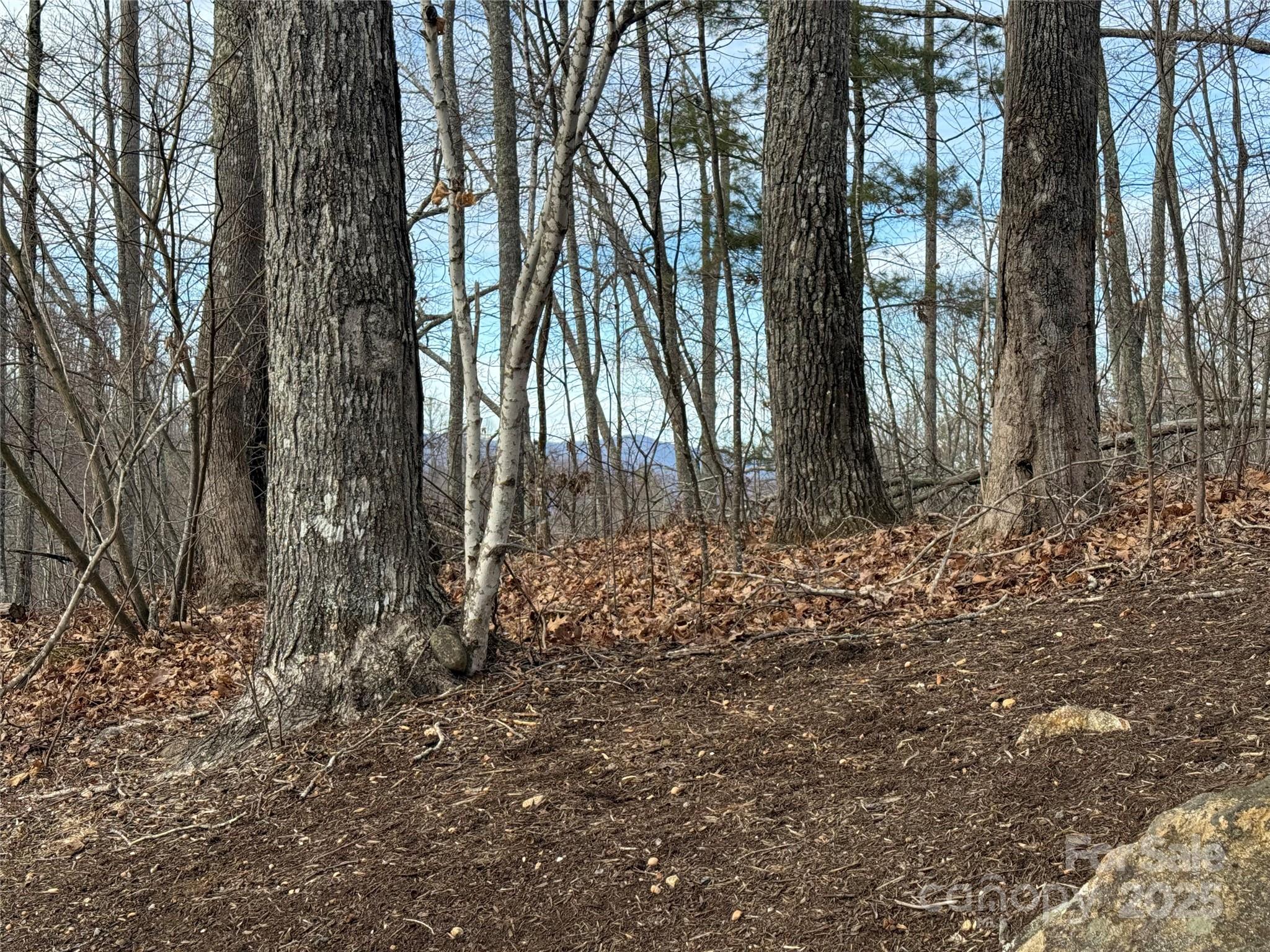 Lot 26 Austin Mountain Drive