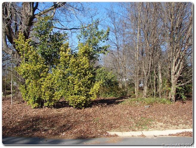 University Park - Land