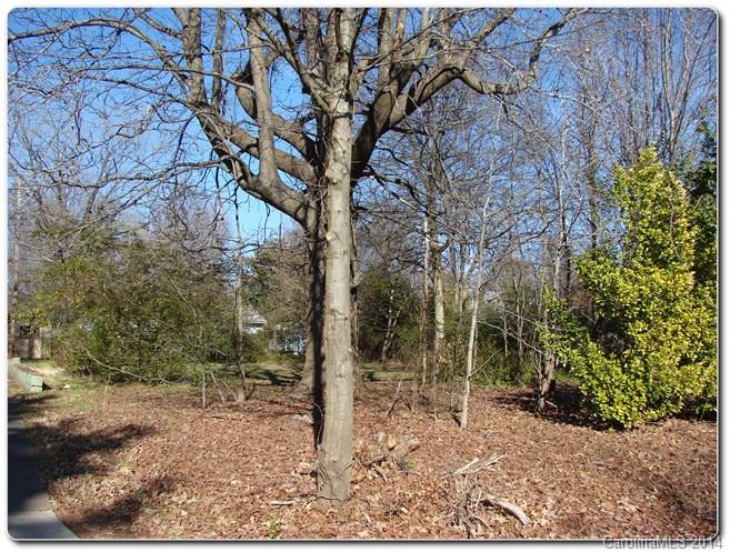 University Park - Land