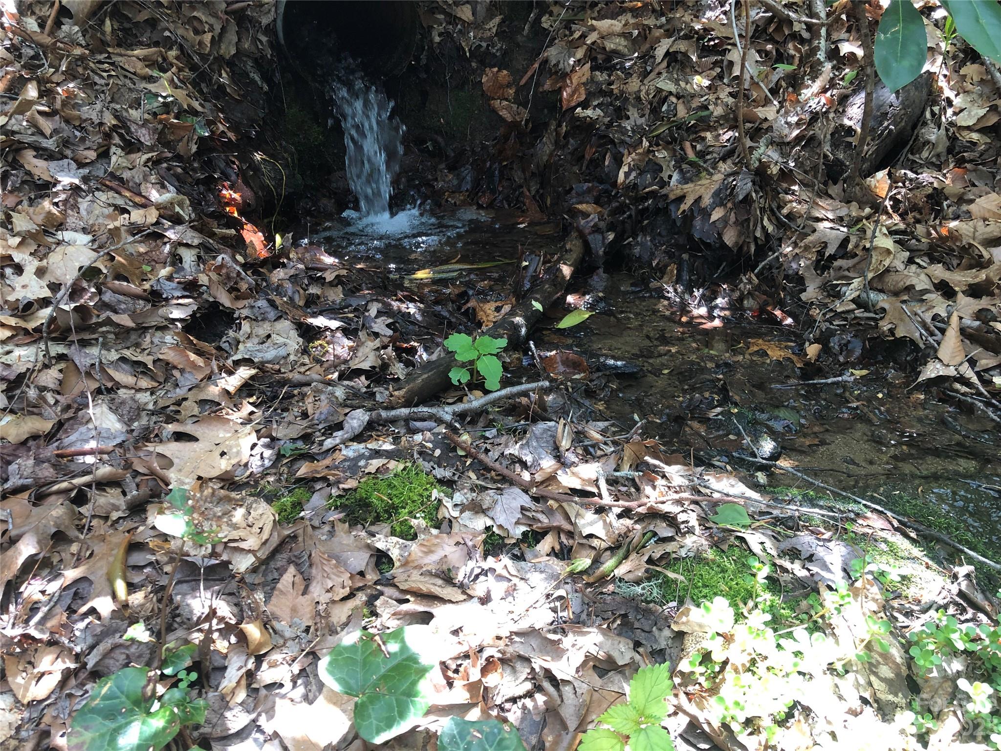 Holly Hills - Residential