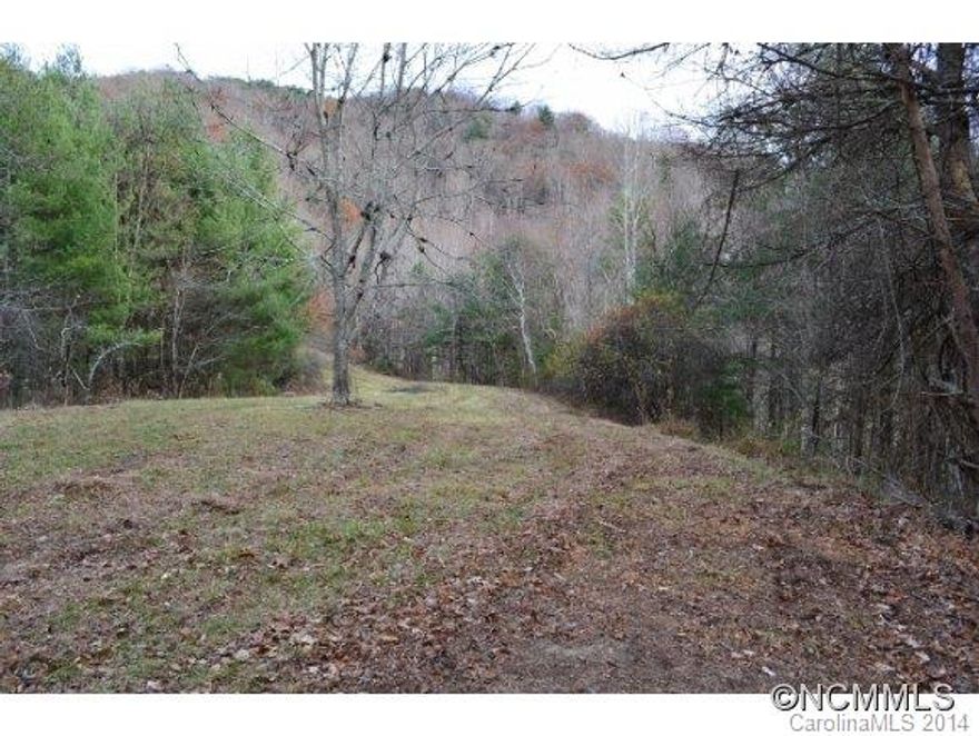 Acreage close in to Marshall in the very desirable Little Pine area.  Designed for private living or hobby farm.  Very light restrictions; farm animals OK (C&R's attached).  Parcel 6 has a beautiful cleared knoll for homesite, gardens and animals. Mountain views from homesite with clearing. Beautiful small subdivision with 7 large parcels total.  Owner financing available.  Already has septic improvement permit.