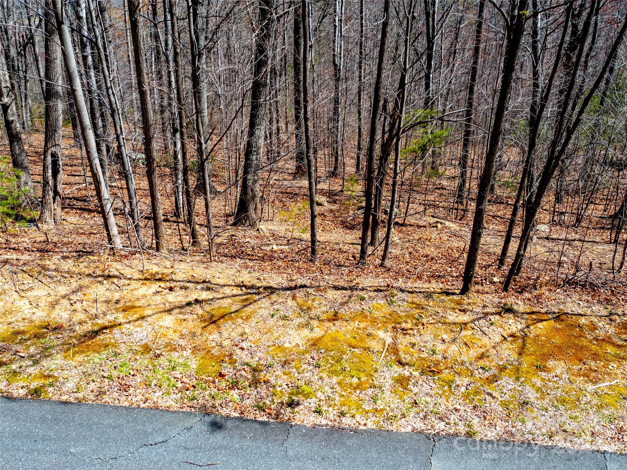 Brights Creek - Residential