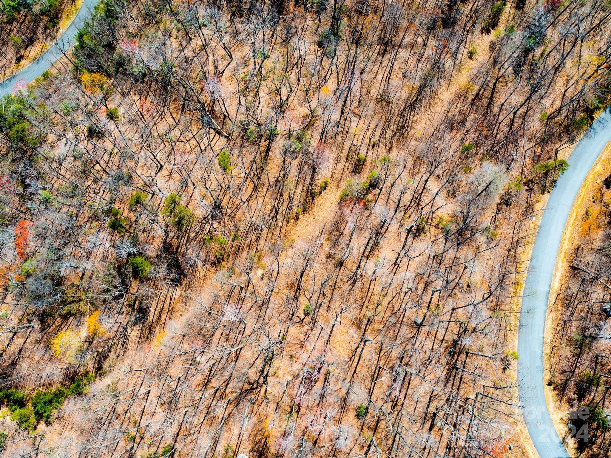 Brights Creek - Residential