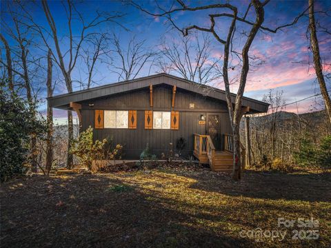 495 Youngs Mountain Drive Lake Lure NC 28746