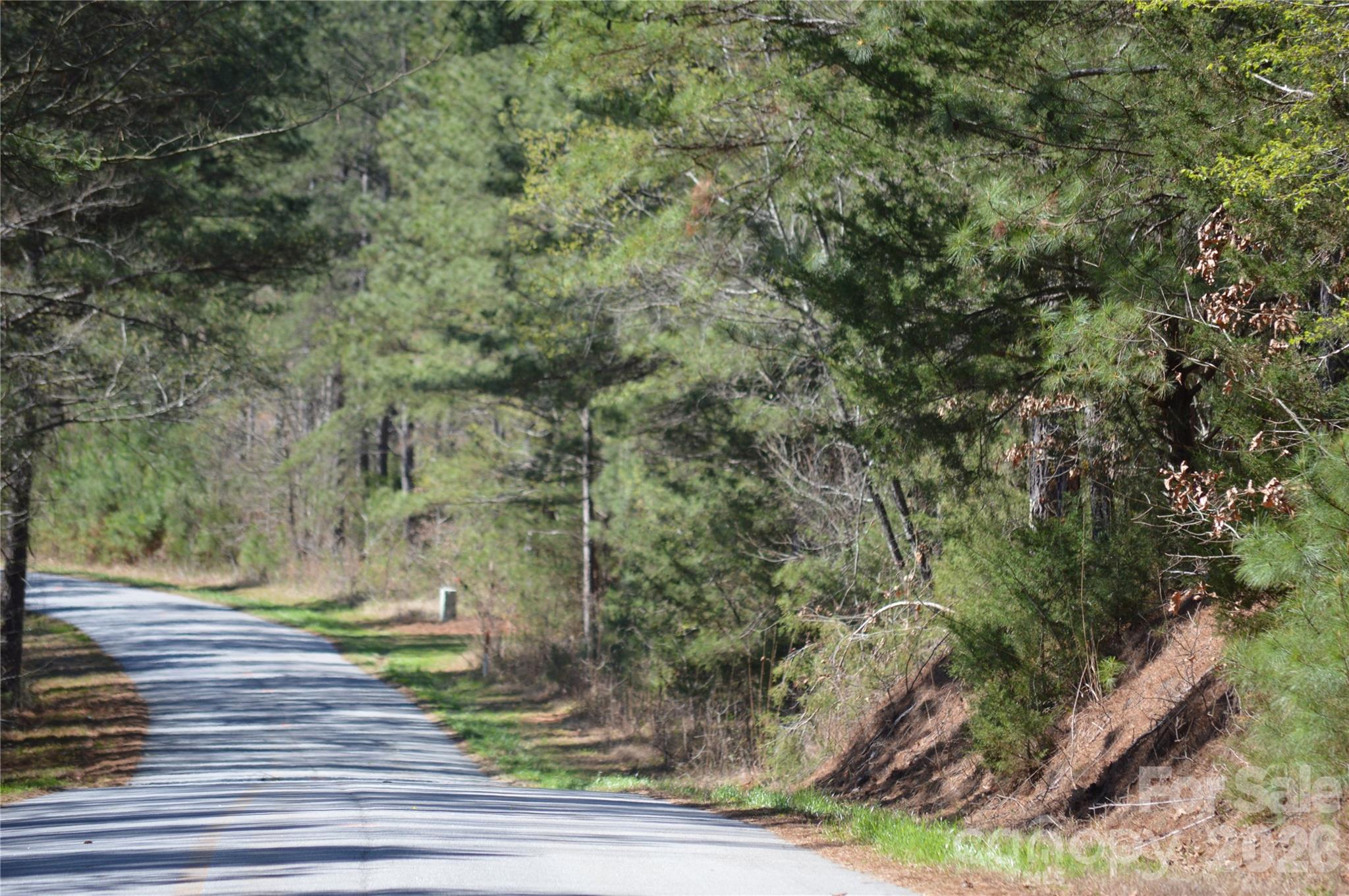 00 Peter Hawk Creek Road 14