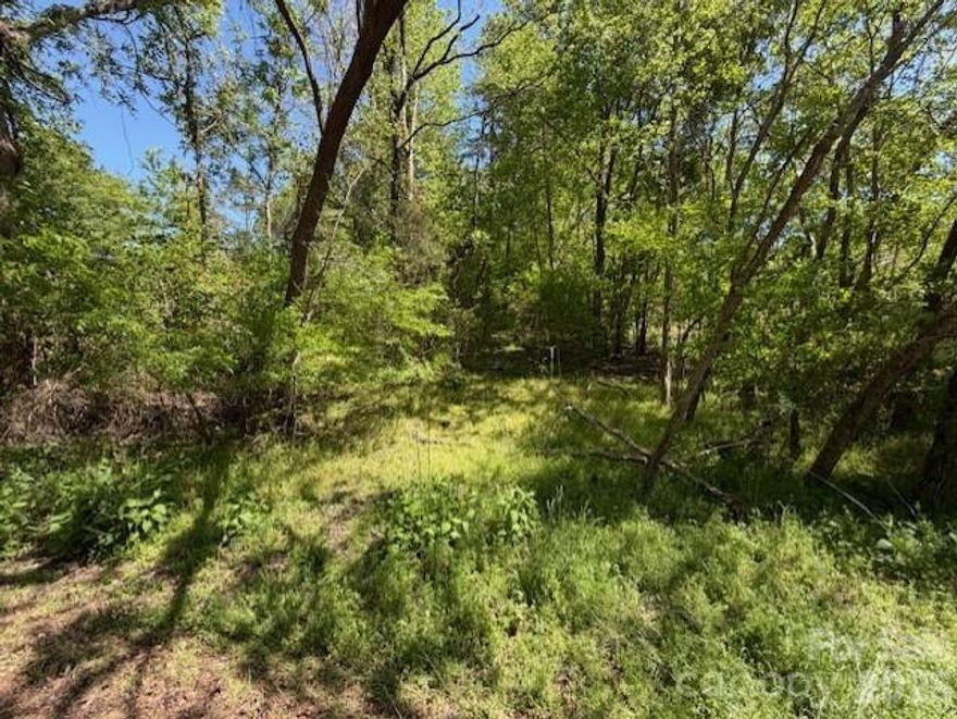 Charming +/- .34 acre parcel situated off a gravel road, offering a lush, heavily wooded environment and a tranquil setting to bring your vision to life.