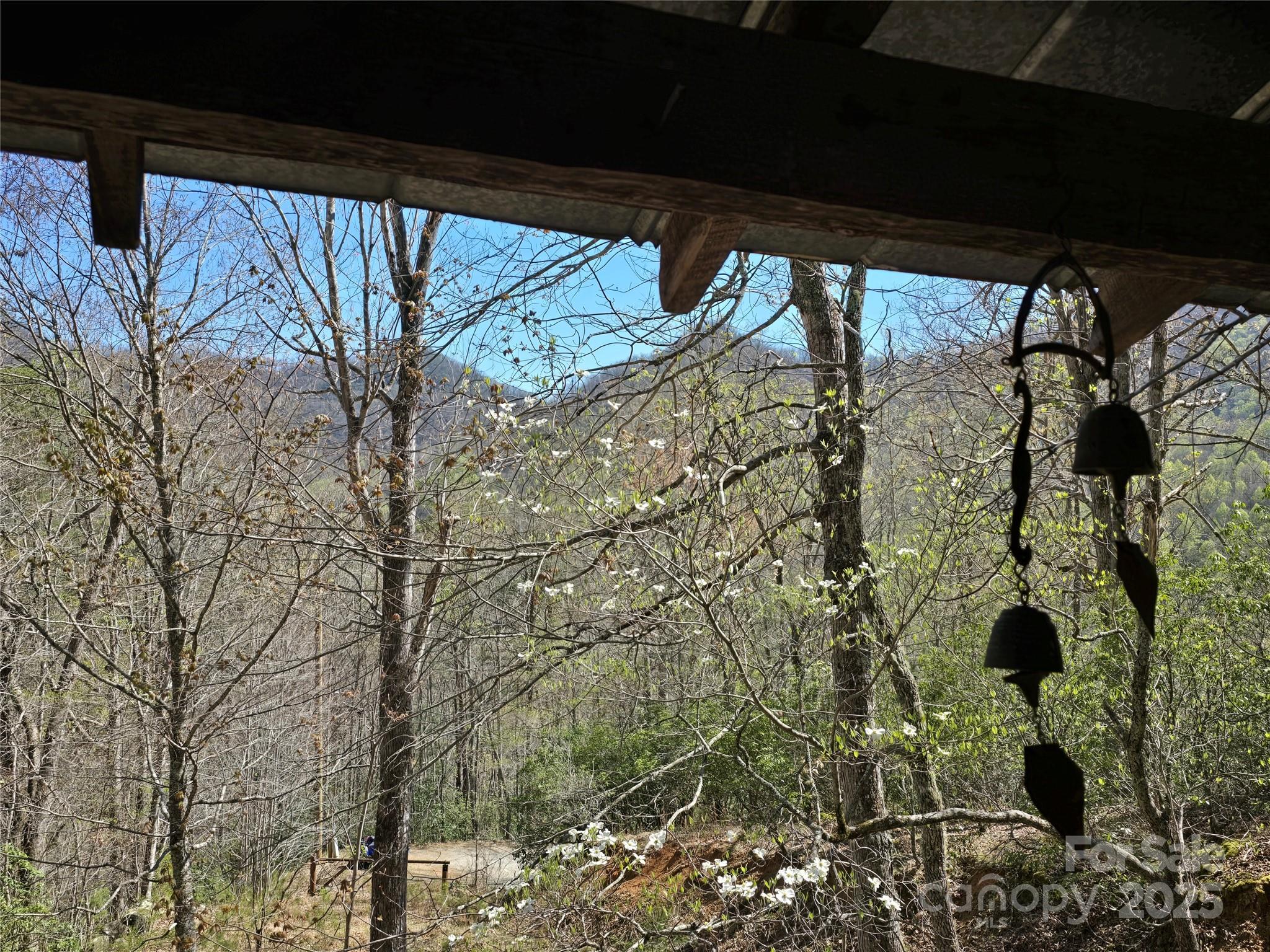 318 Brown Mountain Drive