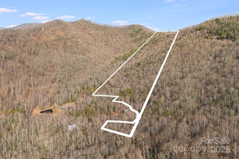 99999 Walker Mountain Lane Black Mountain NC 28711