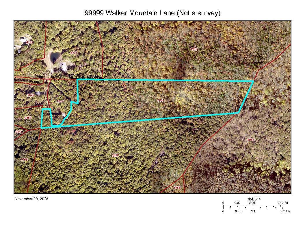 99999 Walker Mountain Lane