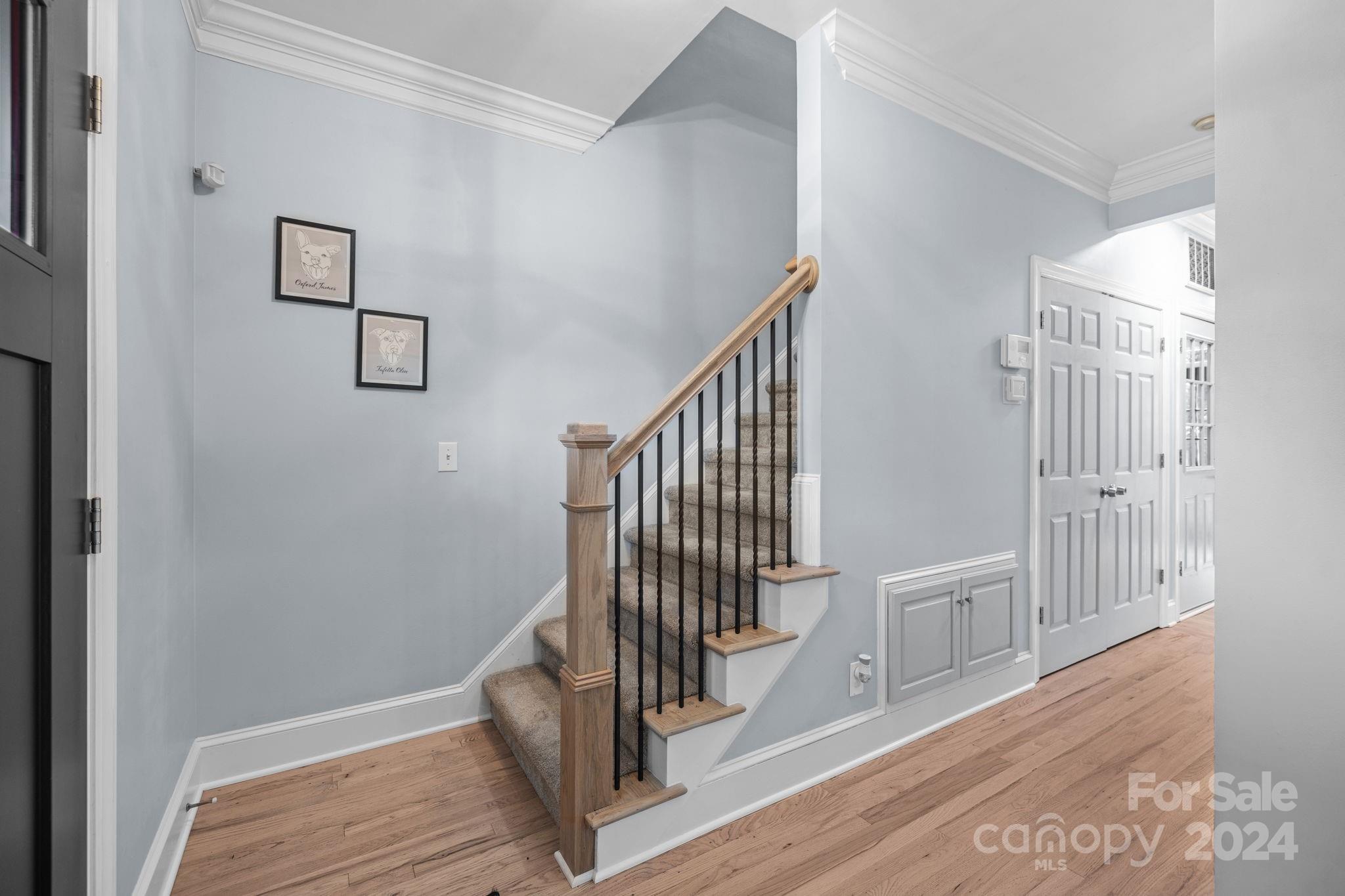 Selwyn Farms - Residential