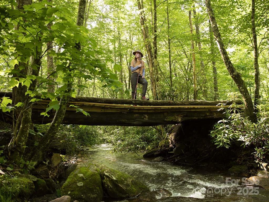 Balsam Mountain Preserve - Land