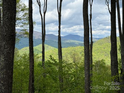 1817 E Reach Road 216 Sylva NC 28779