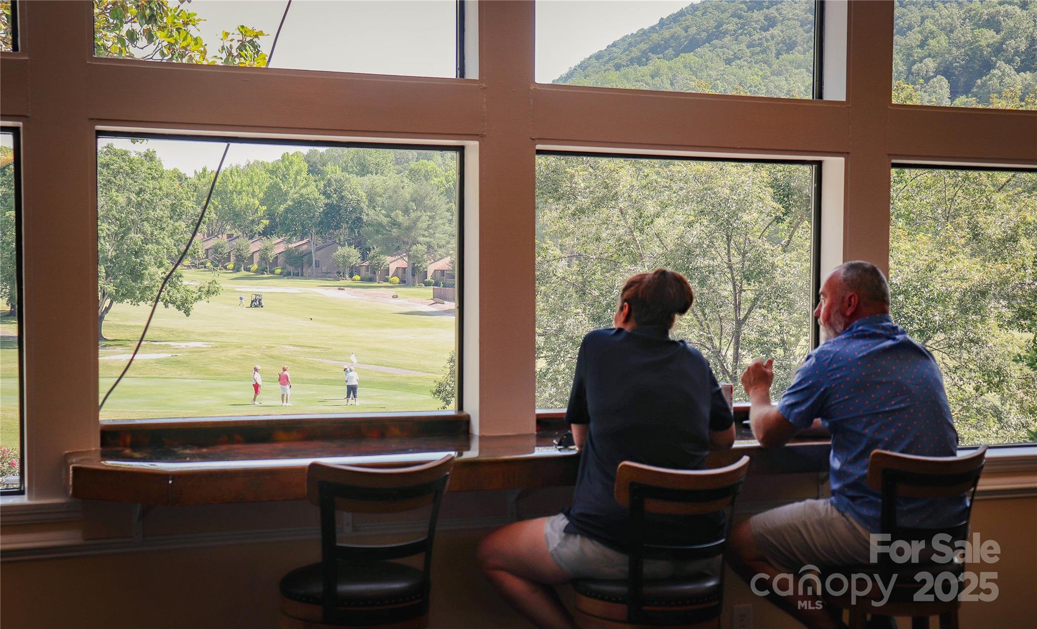 Rumbling Bald on Lake Lure - Land