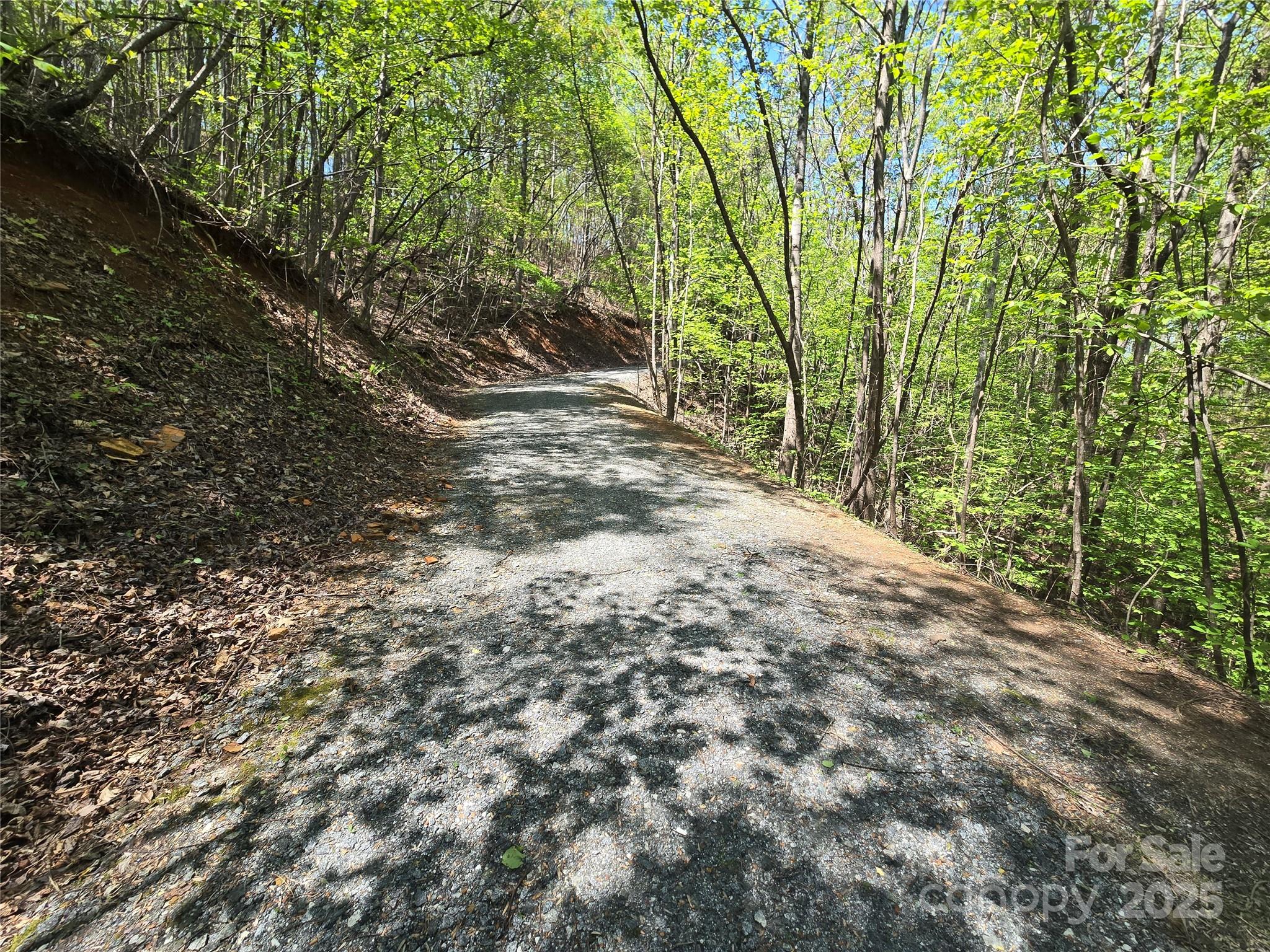 Rumbling Bald on Lake Lure - Land