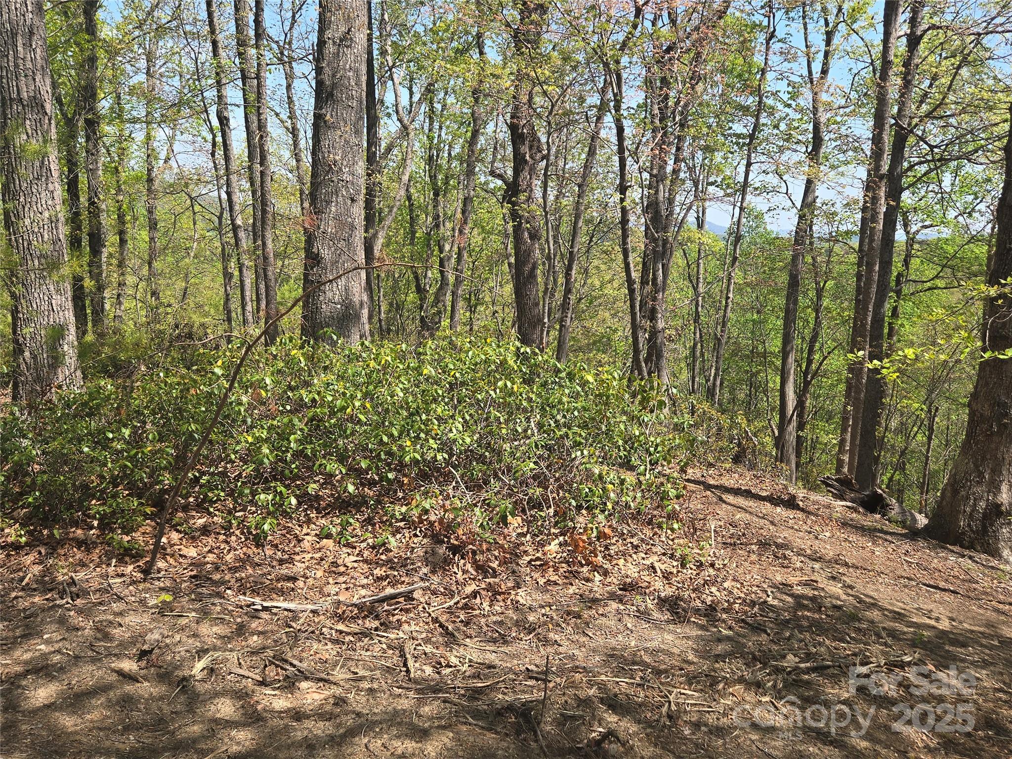 Lot 36 Turkey Fall Lane