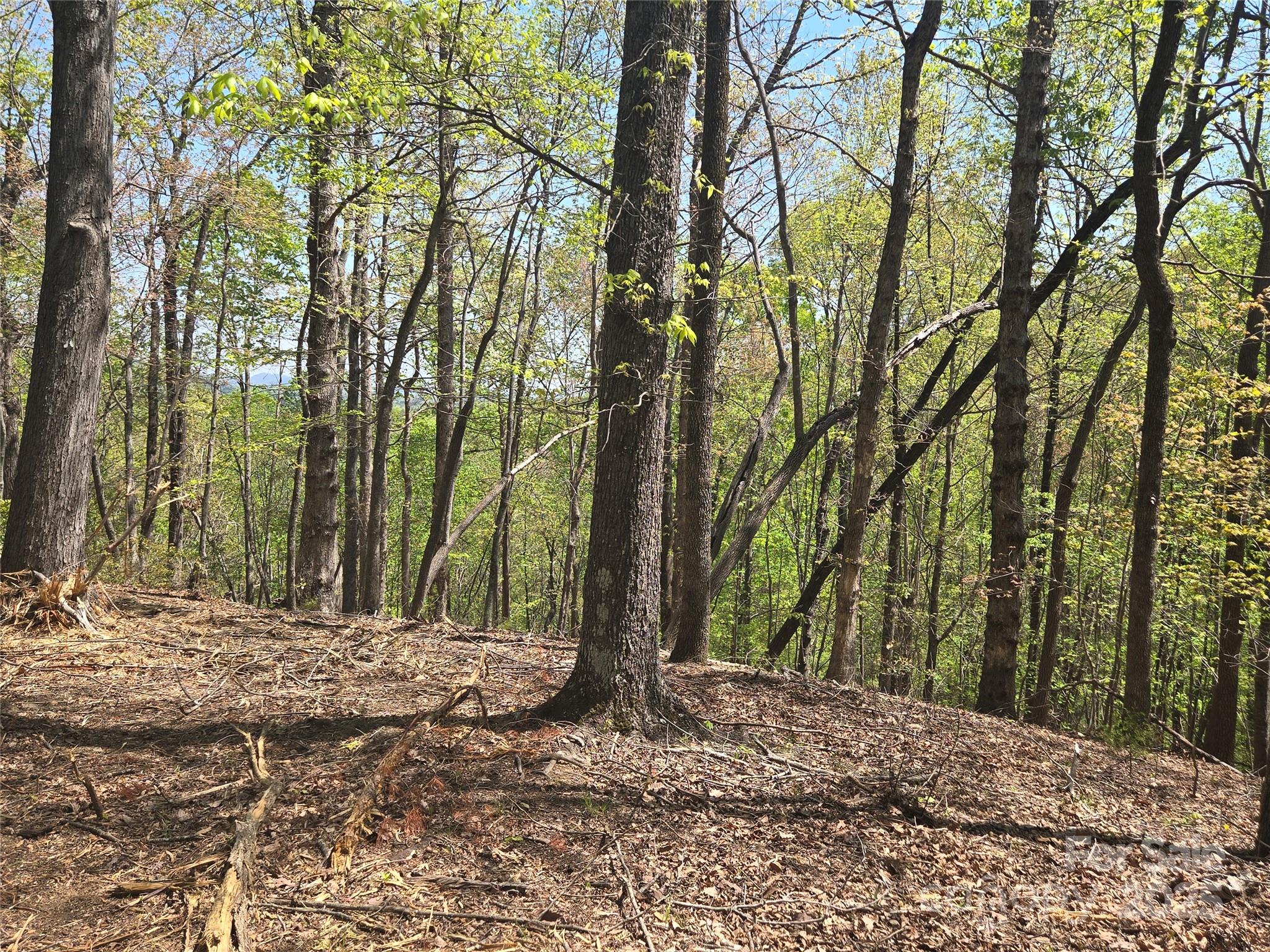 Rumbling Bald on Lake Lure - Land