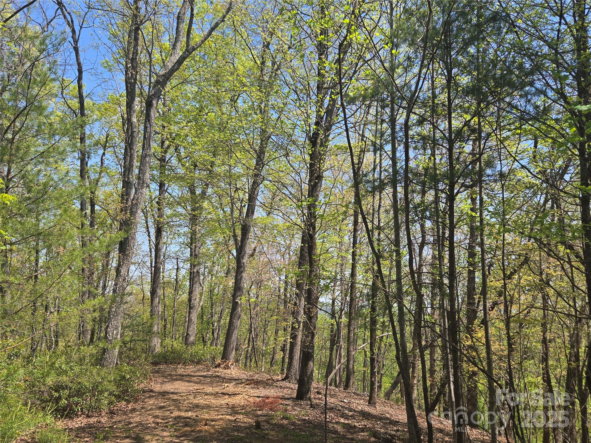 Lot 36 Turkey Fall Lane