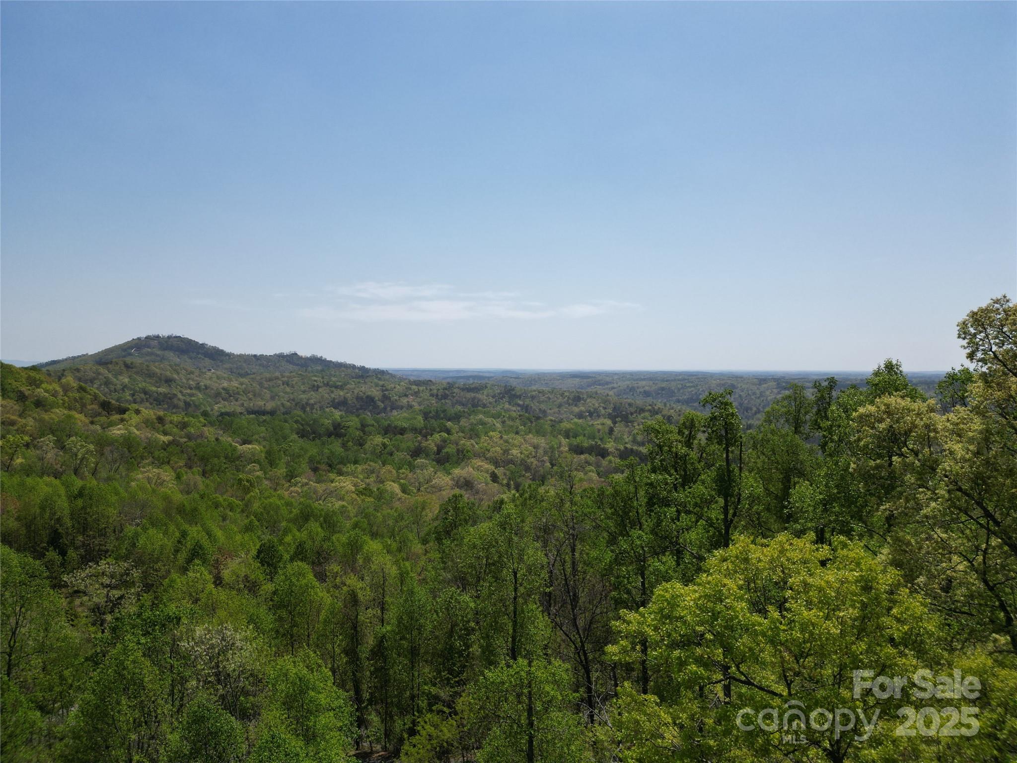 Rumbling Bald on Lake Lure - Land