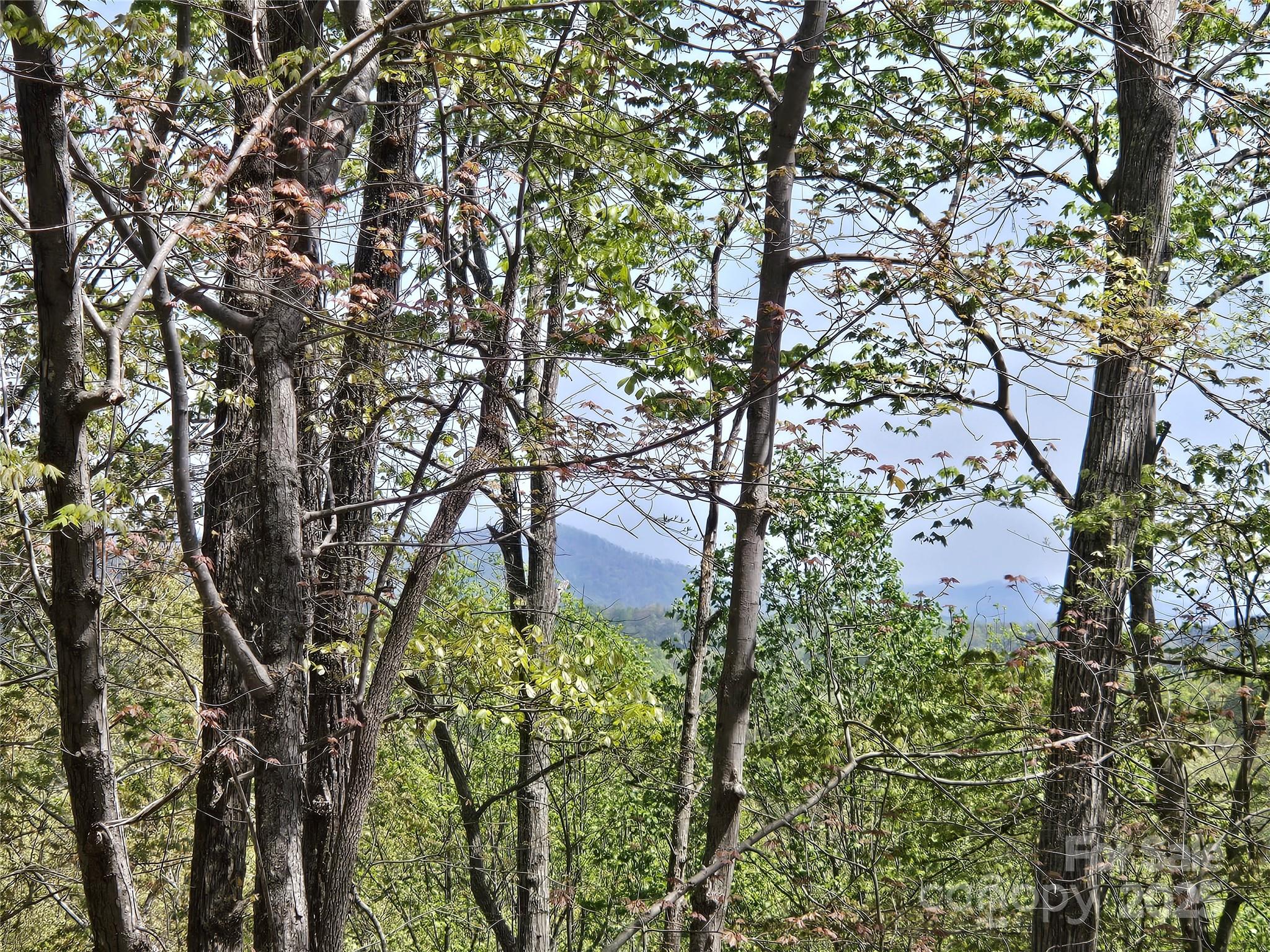 Lot 36 Turkey Fall Lane
