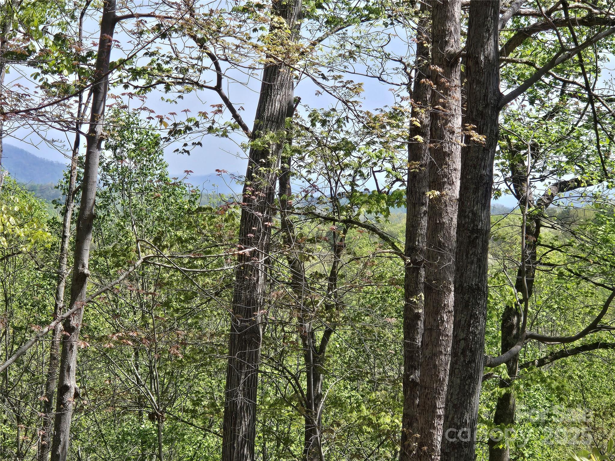 Lot 36 Turkey Fall Lane