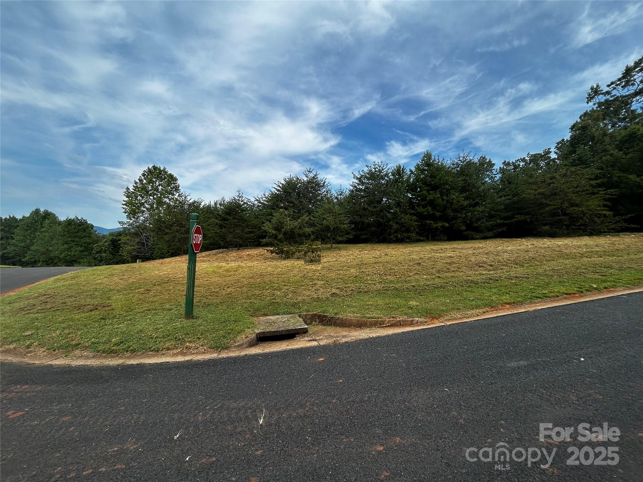 Lot 50 & 50A Mountain Parkway 50, 50A