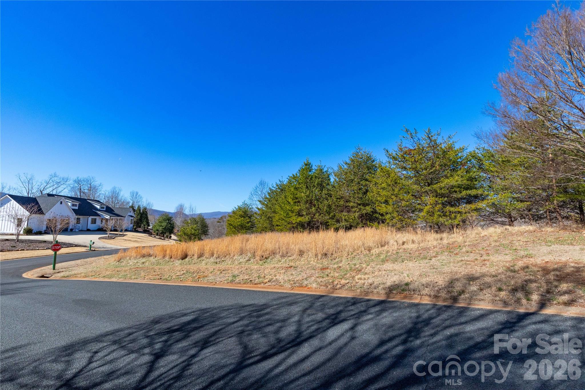 Mountain Park at Lake Adger - Land
