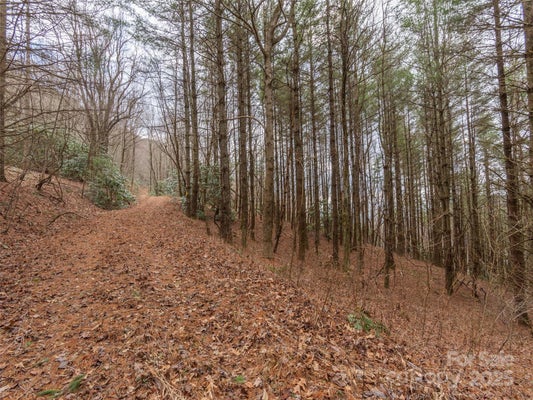 BALD CREEK RD, CLYDE, NC 28721 - Image 4f0764e3939bbcb36a7a146ab983fbc4/4246334886