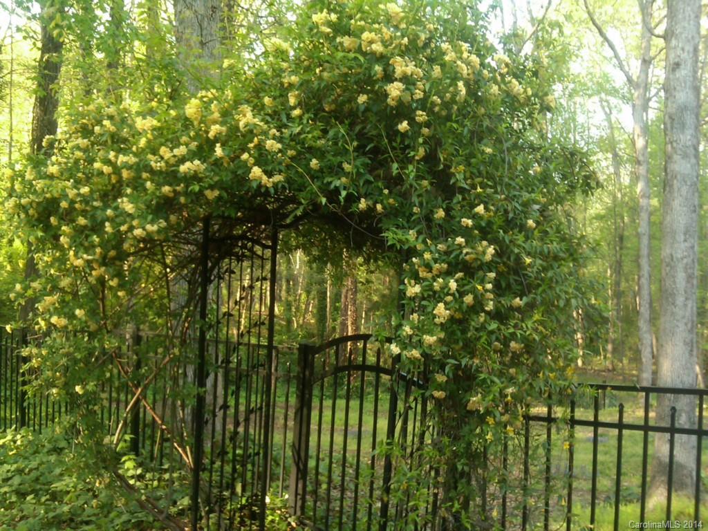 Bellwood - Residential Lease