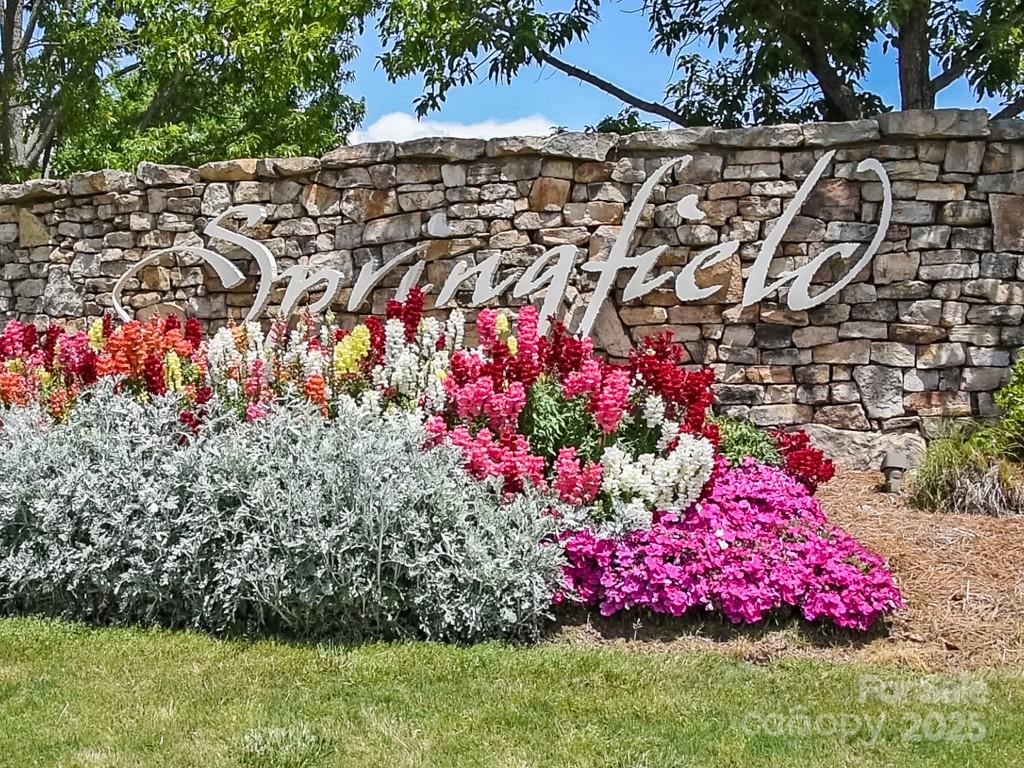Springfield - Residential