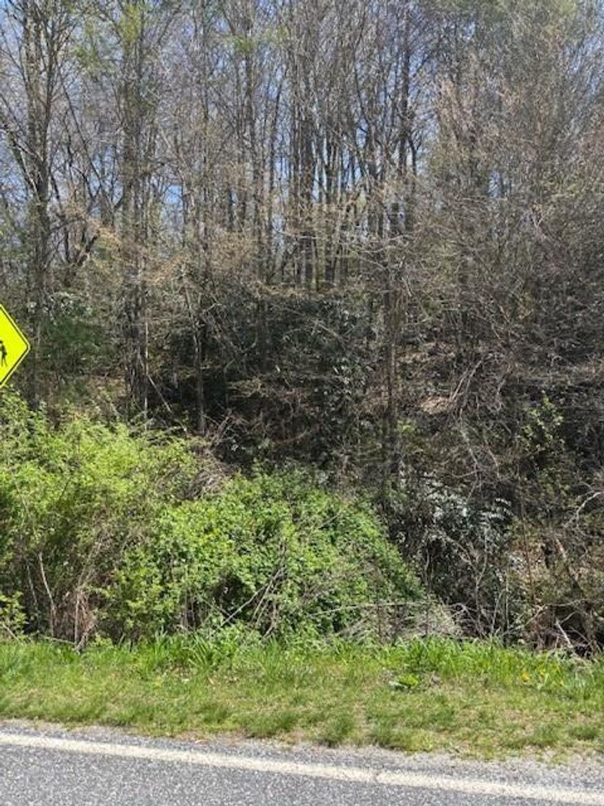 This is a great lot with easy road access right to the property. There’s a small creek running alongside East Fork Rd at the bottom, giving it a peaceful, natural vibe. It’s got a solid building site with some really nice mountain views—perfect for a cabin, home, or just a quiet place to get away.