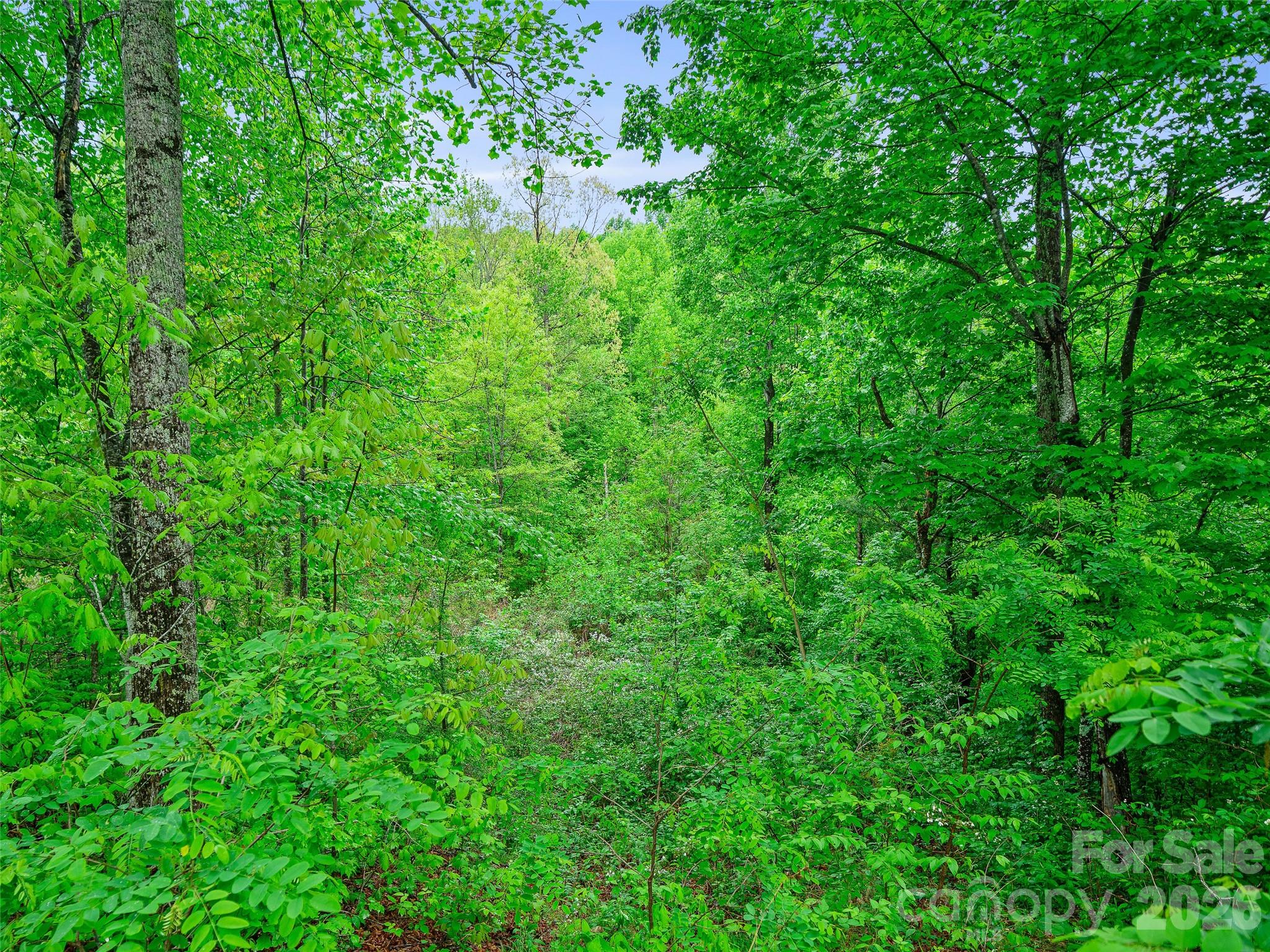 2380 Old Fort Road