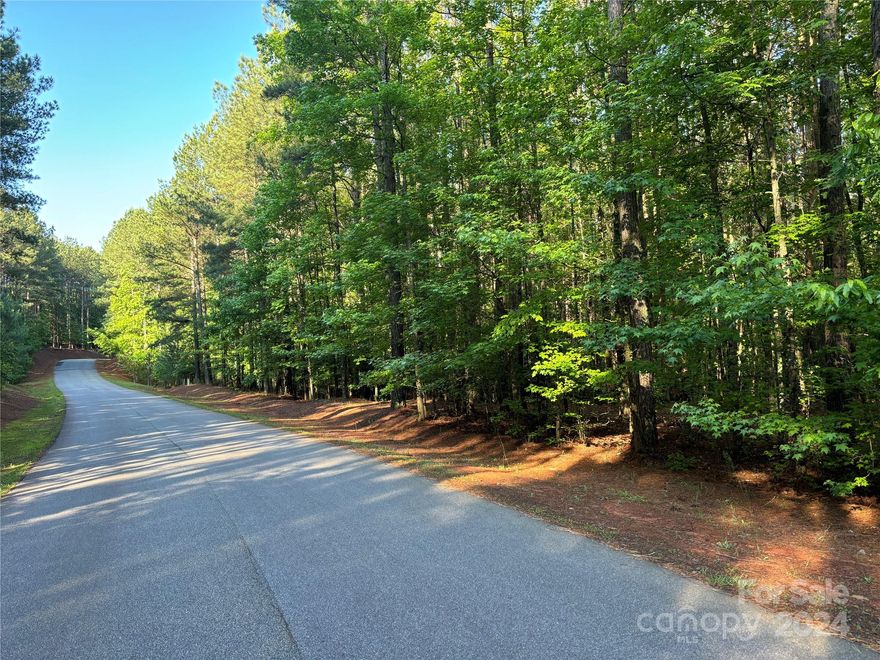 Come take a look at the Lake Rhodhiss, Gate Community that so many are just now finding out about, PARADISE HARBOR! It is truly a nature lovers paradise! Some of the wildlife that call PH home is deer, bear, turkey, racoons bald eagles and lots more. This 1.5 acres comes with a deeded boat slip and will not last long. Book your showing TODAY!
