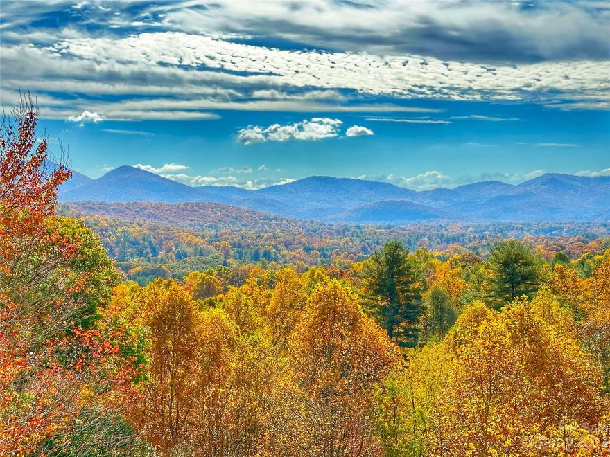 Seller to pay up to $10,000 in closing costs or towards mortgage rate buydown with full price offer. South Facing Year Round Mountain Views Just Minutes to Downtown Asheville! Welcome to your dream home in the highly desirable Haw Creek. Classic residence offering breathtaking mountain views and a serene atmosphere creating a picturesque backdrop that takes your breath away,while only being 15 mins to downtown.3 bedrooms, bonus room, & 3.5 baths and a lower level en-suite for guests. The front porch and upper porch offers tranquility and year round ever-changing views.Elegant architectural touches throughout such as 9' ceilings, arched entryways, crown moulding, and cozy gas fireplace in family room.The private back deck and fenced back yard for pets provides an intimate outdoor space for entertaining guests or enjoying peaceful moments surrounded by nature.Don't miss this opportunity to own a private mountain retreat with modern comforts and convenient proximity to AVL. HOME WARRANTY!