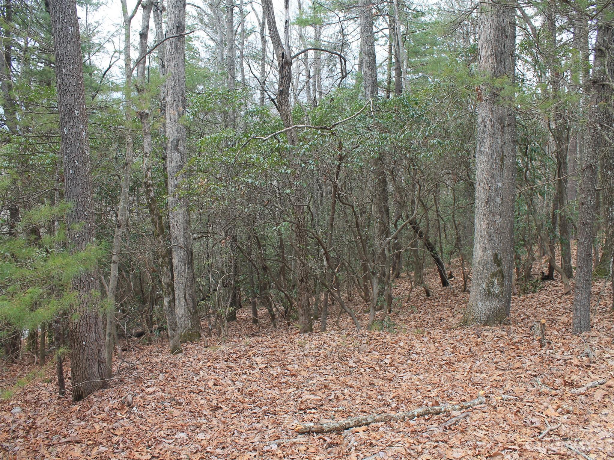 0000 Wildlife Trail .84 ACRES