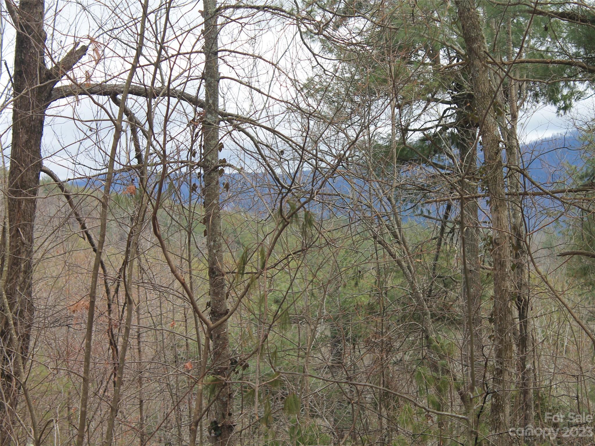 Kanuga Ridge - Land