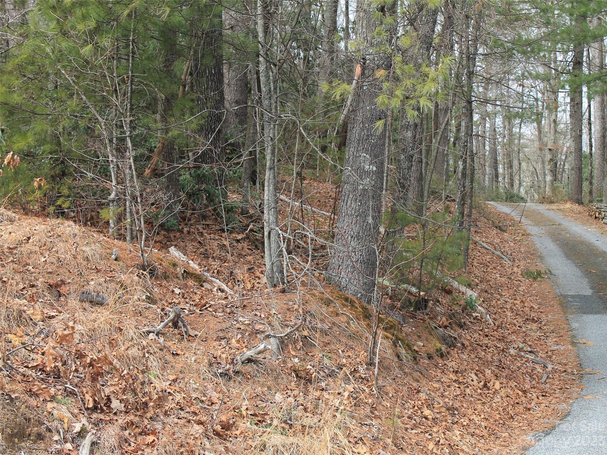 0000 Wildlife Trail .84 ACRES