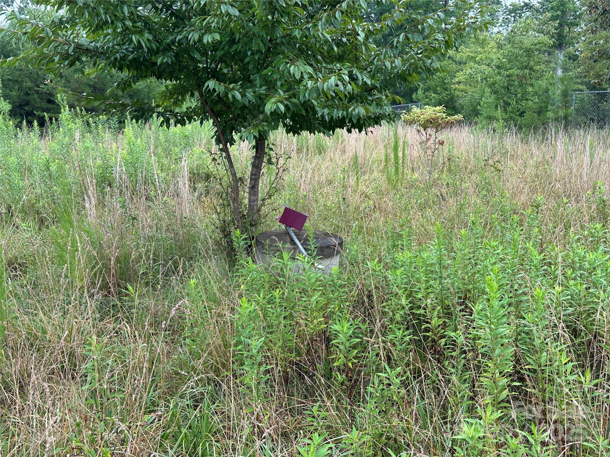 Celestial Estates - Land