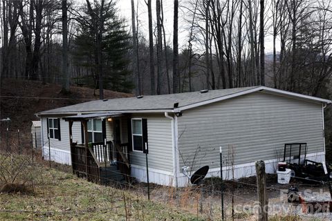 460 Bunny Run Road Canton NC 28716