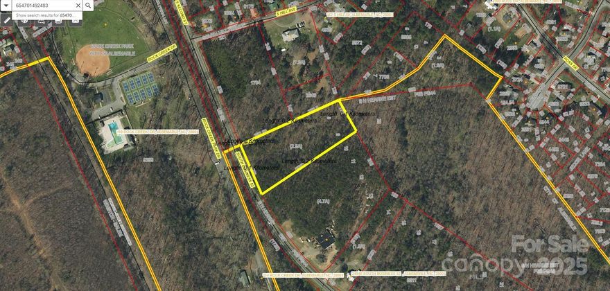 For the first time in generations, this 2.5-acre wooded lot in Albemarle is being offered for sale, a rare opportunity to own a piece of land that’s been held within one family for decades. 

Nestled quietly between two established homes and located just off Route 27 on South Business 52, this property offers both privacy and accessibility. Directly across from Rock Creek Park, you’ll enjoy convenient access to green spaces, walking trails, and the natural beauty that defines this area.

The land has no current soil or land studies, with only county information available at this time, allowing the next owner to explore its full potential. Whether you’re looking to build your dream home, invest in land, or simply secure a piece of Albemarle’s landscape for the future, this parcel offers endless possibilities.