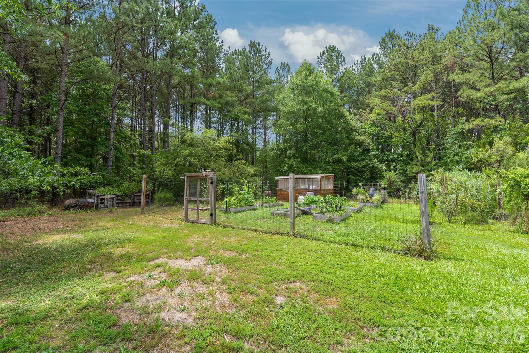 1241 Sierra Road