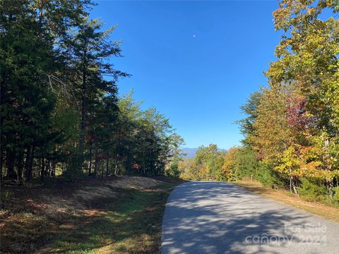 2127 Catawaba Trail 166 Nebo NC 28761