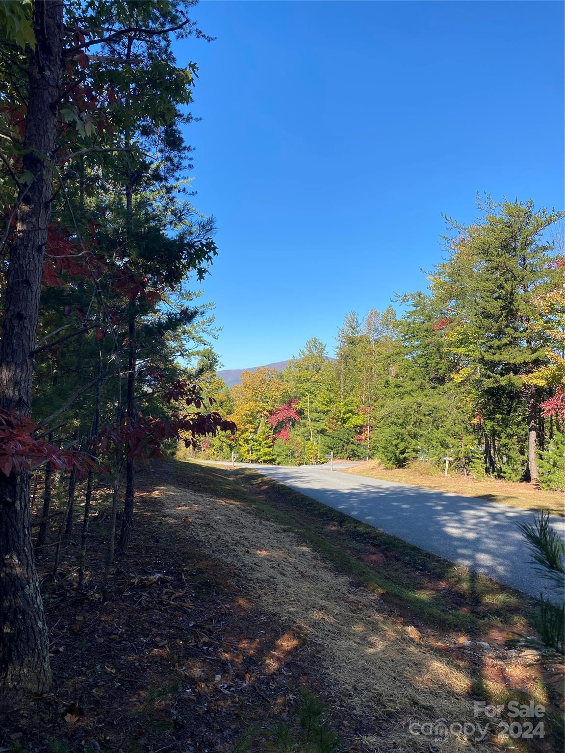 2127 Catawaba Trail 166