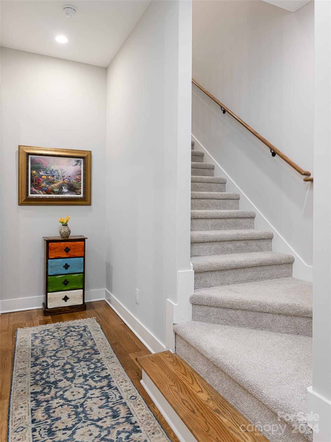 Town Mountain Preserve - Residential