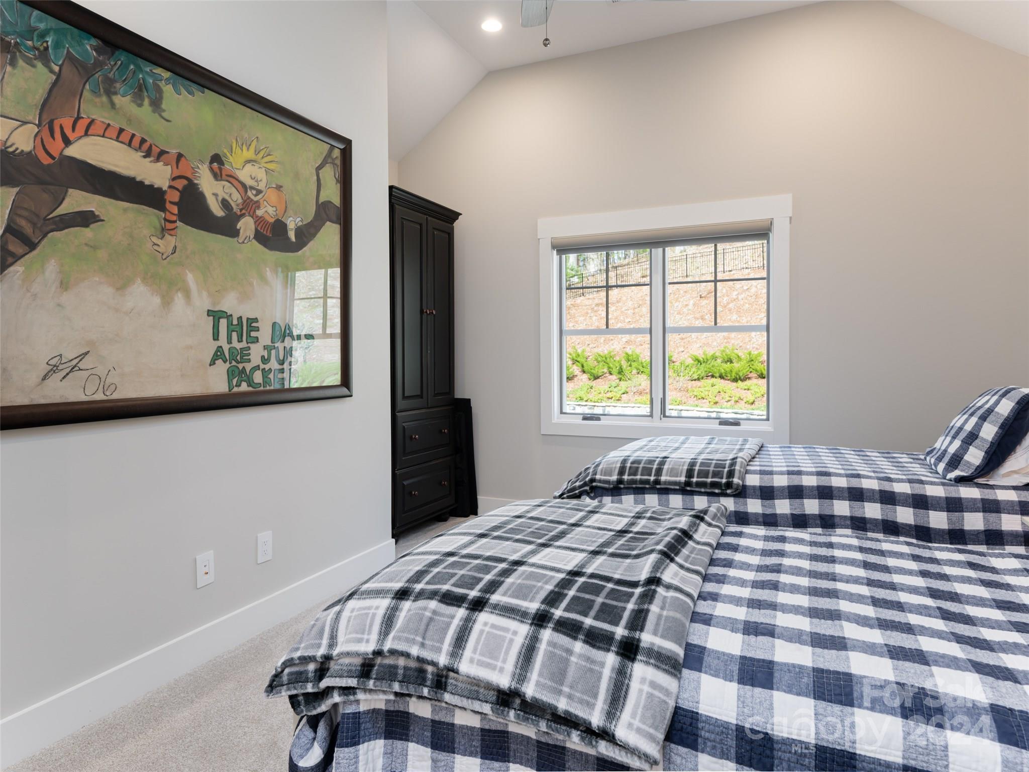 Town Mountain Preserve - Residential