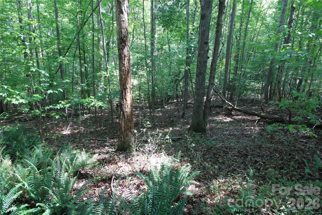 00 Webster Road, photo 5 of 17